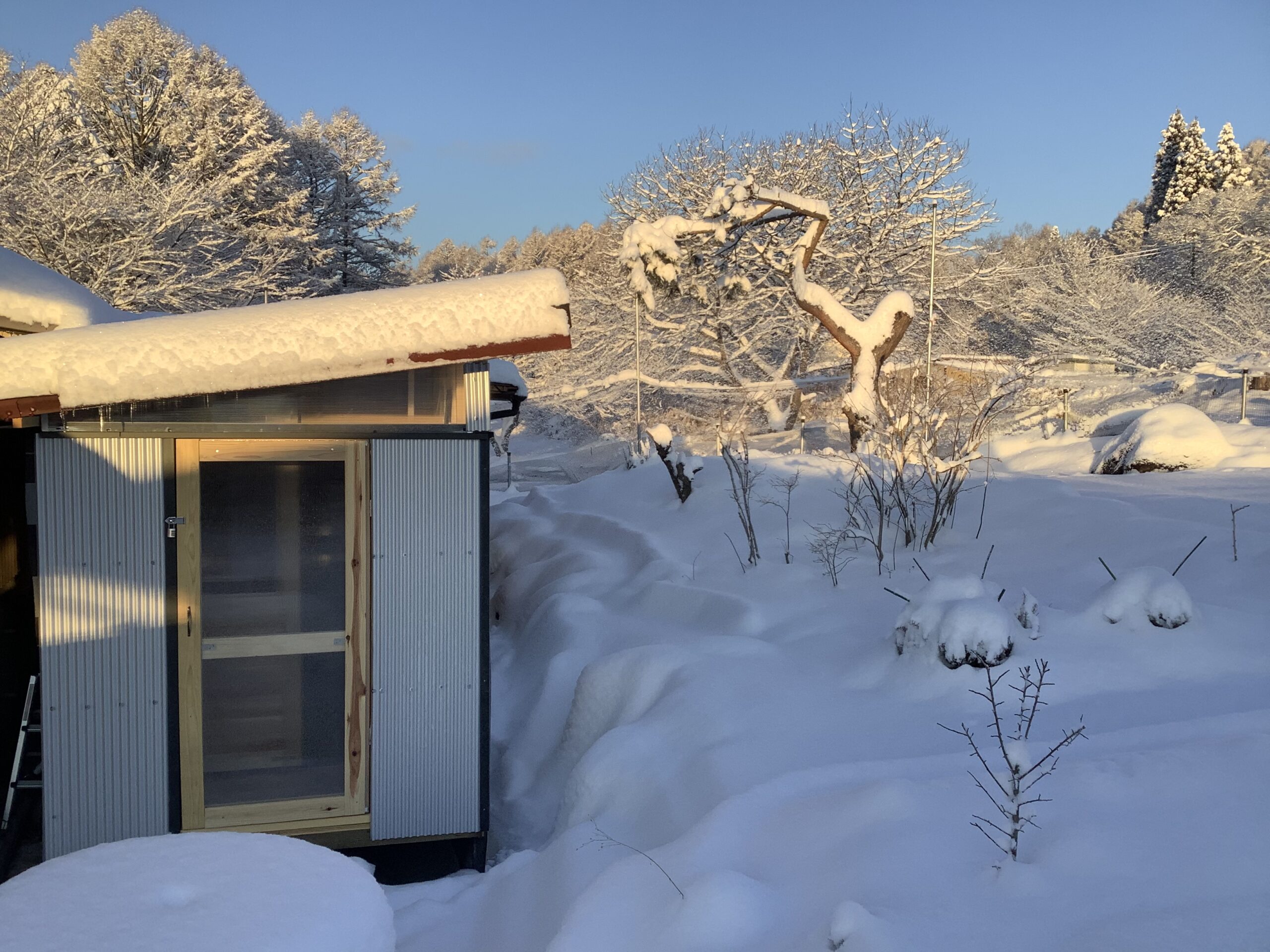 グルテンフリー・低糖質カフェ『八ヶ岳工房』立ち上げ！ | マカンおばちゃまの八ヶ岳日記